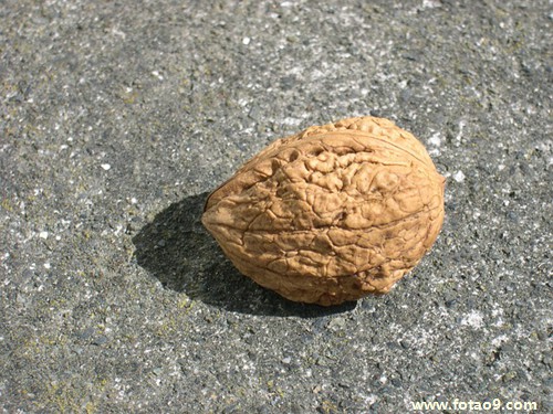 μԼϲԸ޸Լ,μԼϲԸ޸Լ