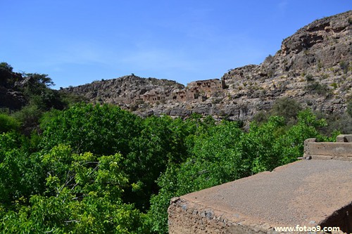 μǮ,μǮ
