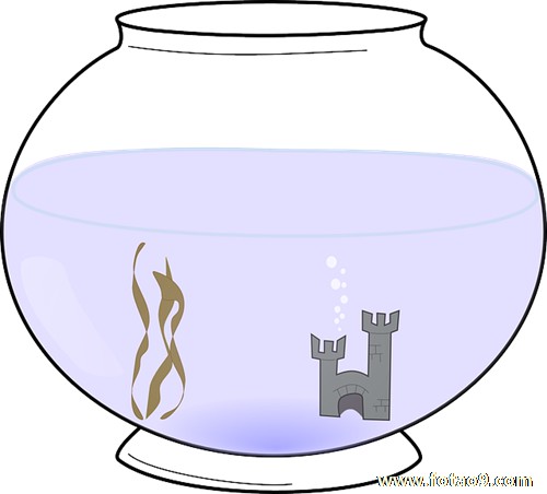 梦见挖荠菜包饺子,解梦梦见挖荠菜包饺子 梦见挖荠菜包饺子,解梦梦见挖荠菜包饺子