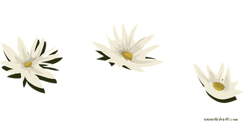 μڸѧУϲ,μڸѧУϲ