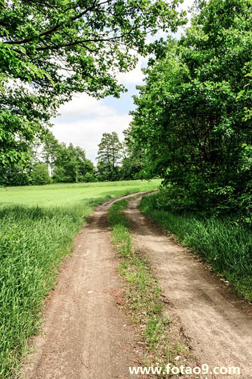 μڹſľͷ,μڹſľͷ