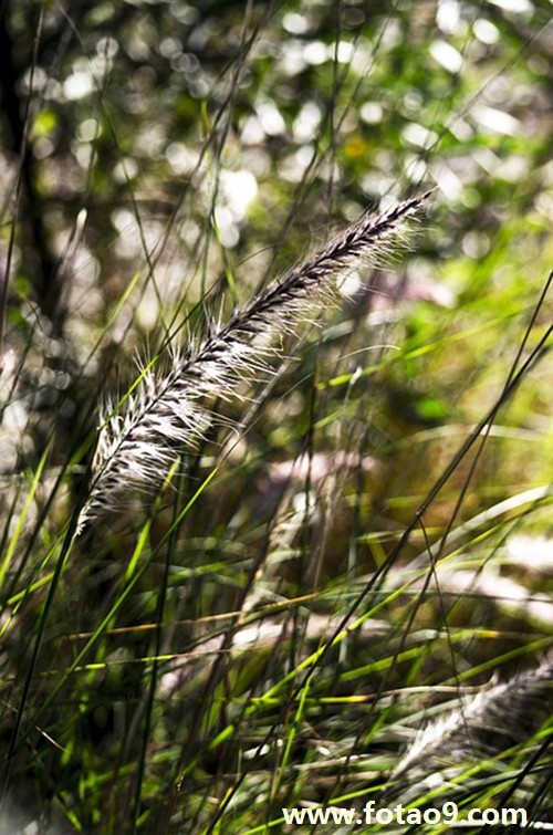 梦见粉红色的从地里喷出来的水,解梦梦见粉红色的从地里喷出来的水 梦见粉红色的从地里喷出来的水,解梦梦见粉红色的从地里喷出来的水