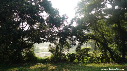 μ˺ͱŮԼ,μ˺ͱŮԼ