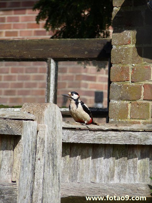 梦见我和老公去日月潭旅游,解梦梦见我和老公去日月潭旅游 梦见我和老公去日月潭旅游,解梦梦见我和老公去日月潭旅游