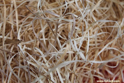 μŮƿͱײ,μŮƿͱײ