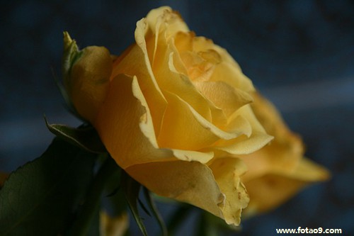 μǰ;ڰ,μǰ;ڰ