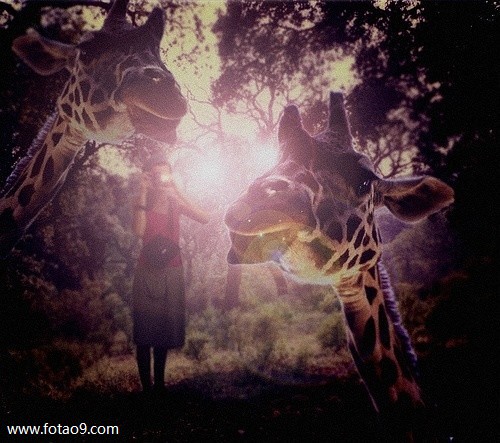 μ˯ǰδ´,μ˯ǰδ´