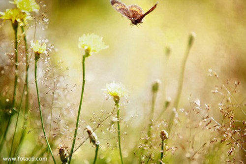 梦见有人给自己电话号码,解梦梦见有人给自己电话号码 梦见有人给自己电话号码,解梦梦见有人给自己电话号码