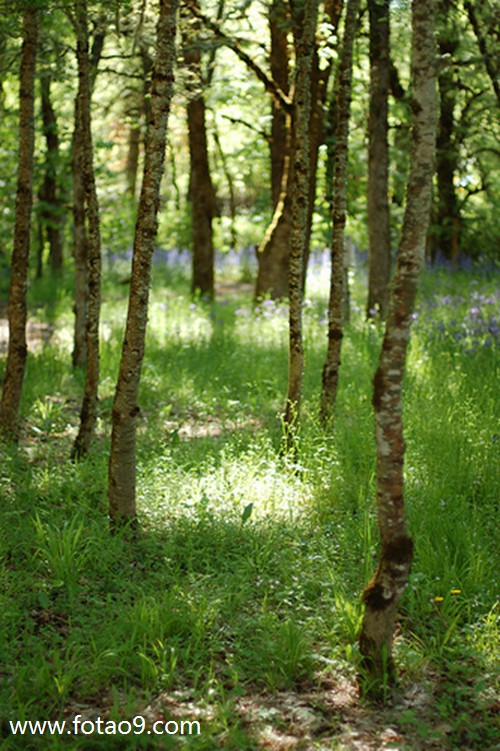 梦见房子一堆砂子,解梦梦见房子一堆砂子 梦见房子一堆砂子,解梦梦见房子一堆砂子