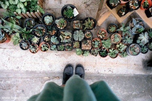 μͺӳһС,μͺӳһС