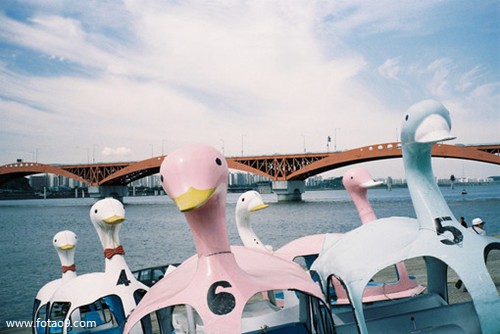 μߴ,μߴ