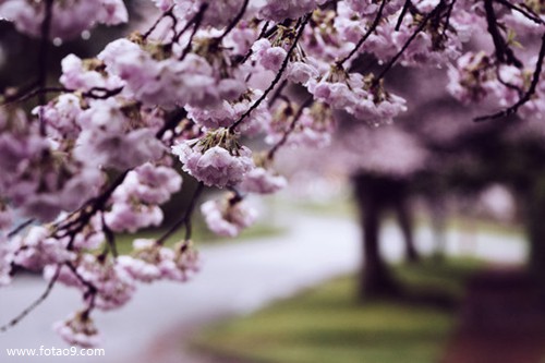 梦见爸妈都得艾滋病,解梦梦见爸妈都得艾滋病 梦见爸妈都得艾滋病,解梦梦见爸妈都得艾滋病