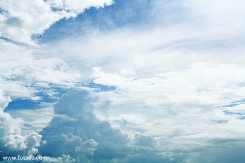 梦见为尸体放生,解梦梦见为尸体放生 梦见为尸体放生,解梦梦见为尸体放生