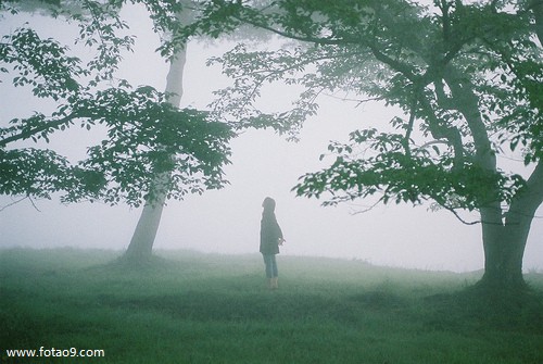 梦见变成会飞的乌龟,解梦梦见变成会飞的乌龟 梦见变成会飞的乌龟,解梦梦见变成会飞的乌龟