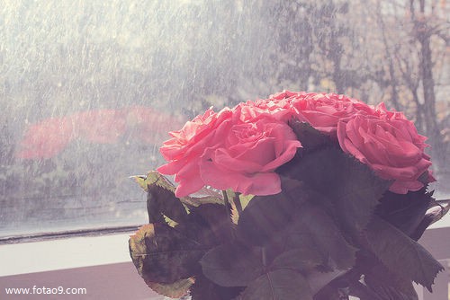 梦见侄子被别人打,解梦梦见侄子被别人打 梦见侄子被别人打,解梦梦见侄子被别人打