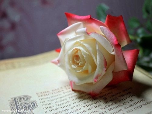 μڼĴӾ,μڼĴӾ