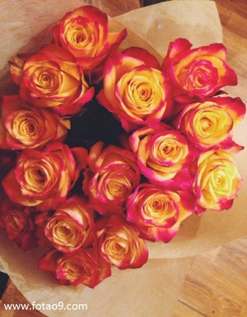 梦见前夫放羊身上很脏,解梦梦见前夫放羊身上很脏 梦见前夫放羊身上很脏,解梦梦见前夫放羊身上很脏