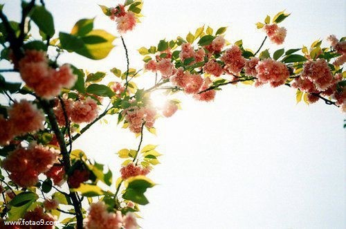 梦见从井里面老骨头,解梦梦见从井里面老骨头 梦见从井里面老骨头,解梦梦见从井里面老骨头