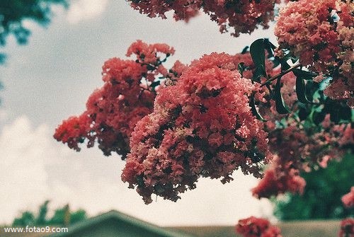 梦见为救人吃了一口屎,解梦梦见为救人吃了一口屎 梦见为救人吃了一口屎,解梦梦见为救人吃了一口屎