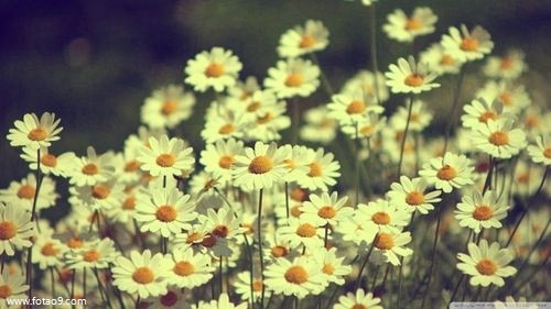 μһֻ˳è,μһֻ˳è