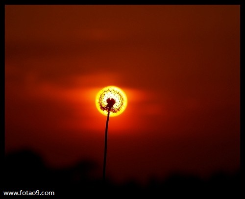 梦见被两个男人骚扰,解梦梦见被两个男人骚扰 梦见被两个男人骚扰,解梦梦见被两个男人骚扰
