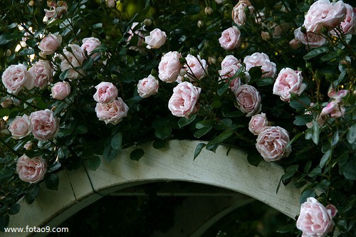 μȢ˸Сϱ,μȢ˸Сϱ