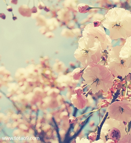 μ׷ӽ,μ׷ӽ