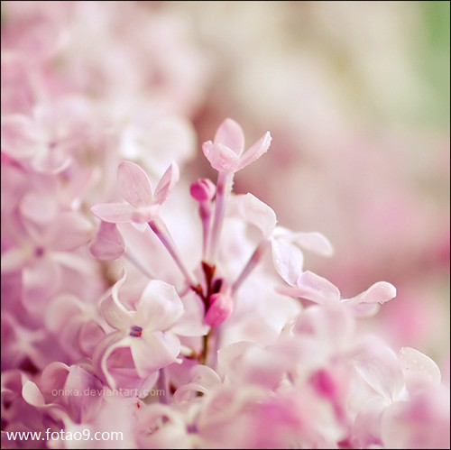 μȥ⹫һ˯,μȥ⹫һ˯