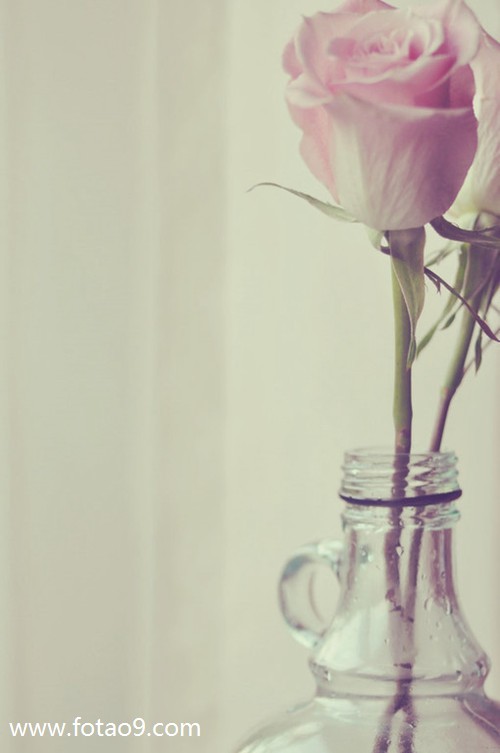 μ֪ҵ,μ֪ҵ