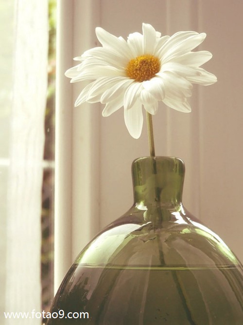 梦见被别人用毒针扎了一下,解梦梦见被别人用毒针扎了一下 梦见被别人用毒针扎了一下,解梦梦见被别人用毒针扎了一下