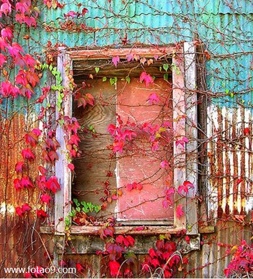 μԷֹϵ,μԷֹϵ