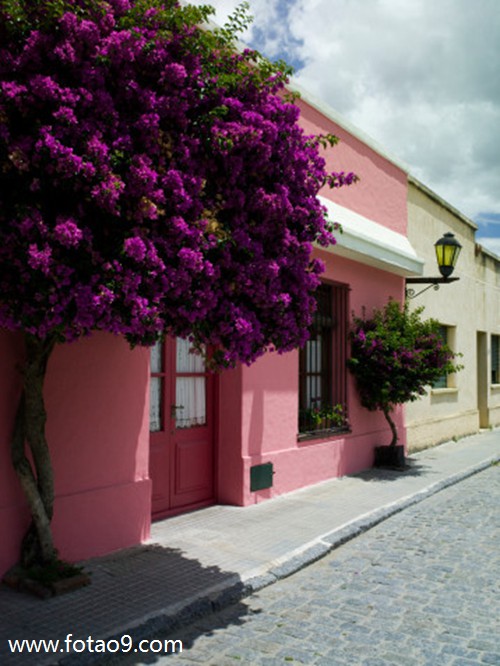 梦见许多飞机低空飞行,解梦梦见许多飞机低空飞行 梦见许多飞机低空飞行,解梦梦见许多飞机低空飞行