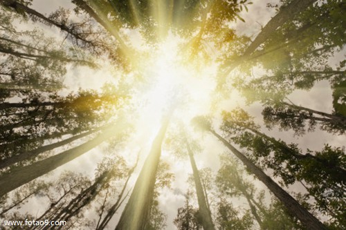 梦见在废弃的房子里探险,解梦梦见在废弃的房子里探险 梦见在废弃的房子里探险,解梦梦见在废弃的房子里探险
