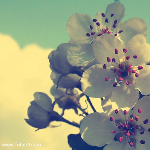 μŮ˵ֳ,μŮ˵ֳ