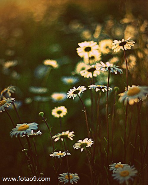 μźͺڰ,μźͺڰ