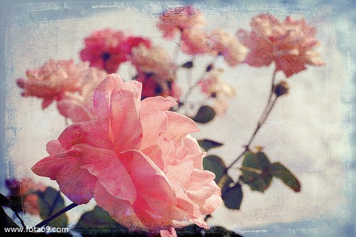 μһΧ,μһΧ