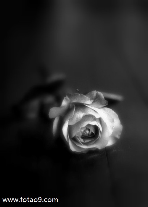 μһ,μһ