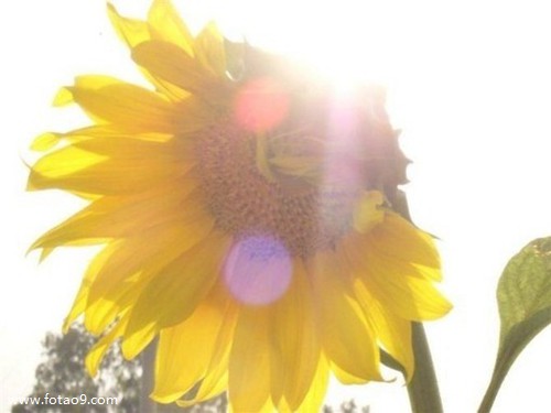 μϻƷͼƬ,μϻƷͼƬ