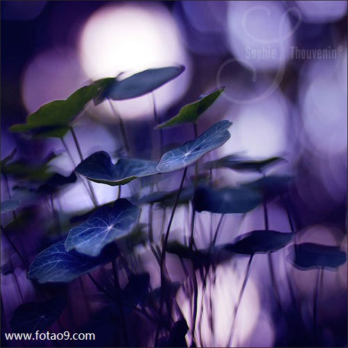 梦见白马把我胳膊咬出血,解梦梦见白马把我胳膊咬出血 梦见白马把我胳膊咬出血,解梦梦见白马把我胳膊咬出血