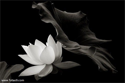 μѵ·滹Ǯ,μѵ·滹Ǯ