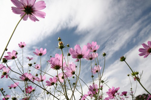 μɷ򱧺ϳû,μɷ򱧺ϳû