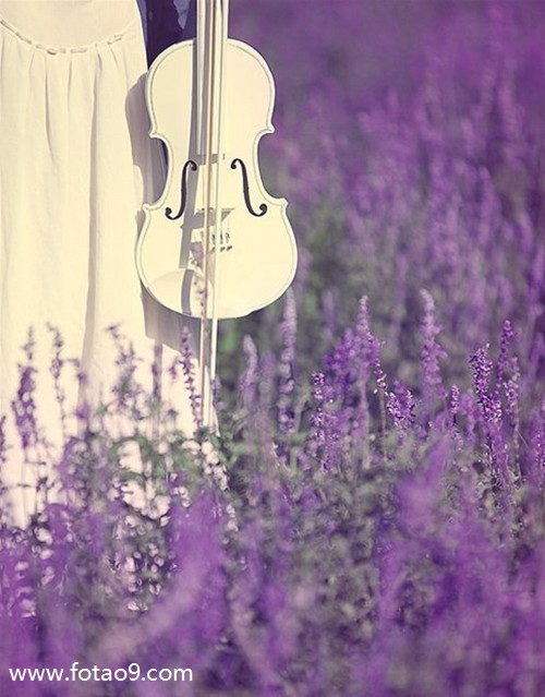 μӼ񵽺öǮ,μӼ񵽺öǮ