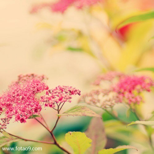梦见在刚铺的水泥路上骑车,解梦梦见在刚铺的水泥路上骑车 梦见在刚铺的水泥路上骑车,解梦梦见在刚铺的水泥路上骑车