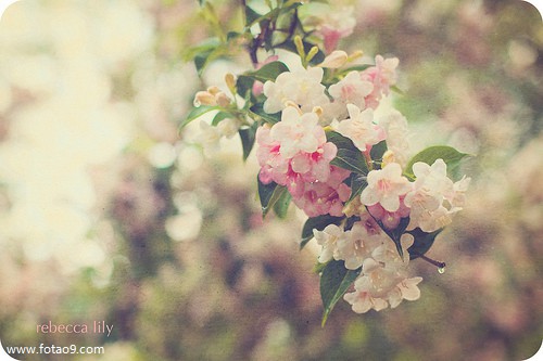 μܵұ,μܵұ