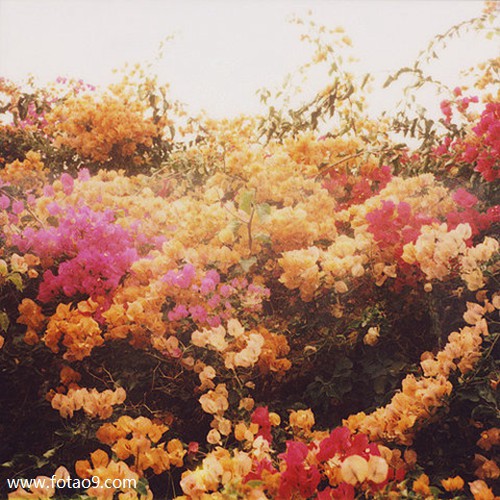 梦见洗脸很干净白净,解梦梦见洗脸很干净白净 梦见洗脸很干净白净,解梦梦见洗脸很干净白净