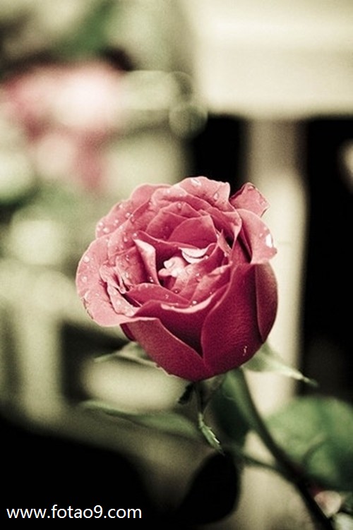 μѹǮ,μѹǮ