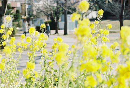 梦见别人用刀子划我的脸,解梦梦见别人用刀子划我的脸 梦见别人用刀子划我的脸,解梦梦见别人用刀子划我的脸