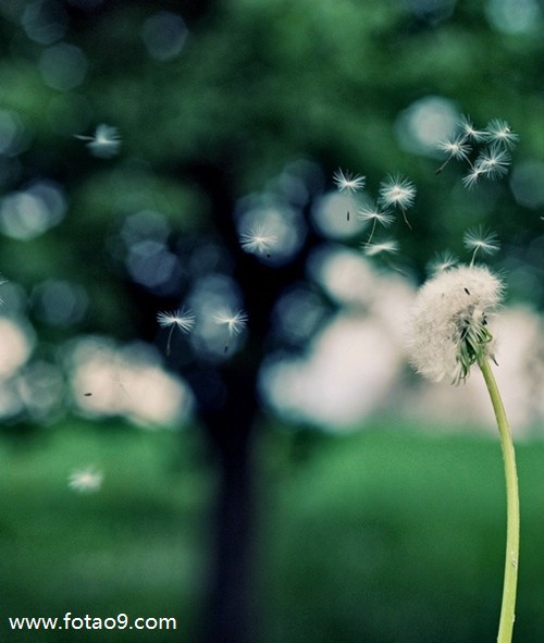梦见睡在山里的木屋里害怕,解梦梦见睡在山里的木屋里害怕 梦见睡在山里的木屋里害怕,解梦梦见睡在山里的木屋里害怕