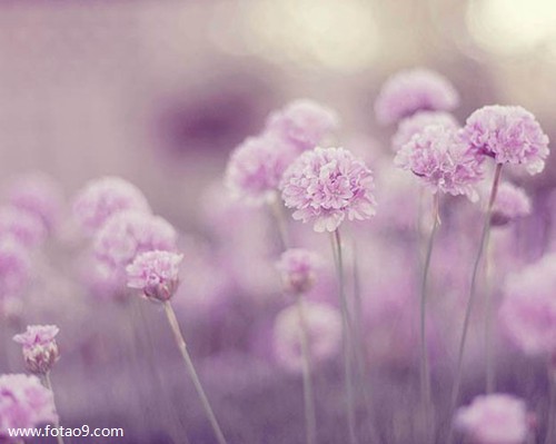 梦见被喜欢的女孩子强吻,解梦梦见被喜欢的女孩子强吻 梦见被喜欢的女孩子强吻,解梦梦见被喜欢的女孩子强吻