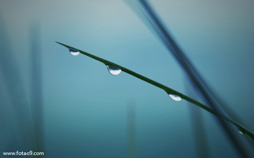 梦见进寺庙想求签没解签,解梦梦见进寺庙想求签没解签 梦见进寺庙想求签没解签,解梦梦见进寺庙想求签没解签